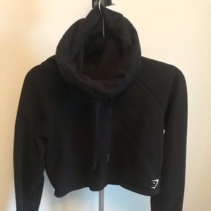 Gym shark crop sweater